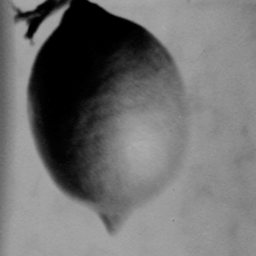 Lu5