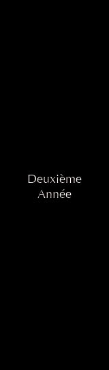 LuKflex2